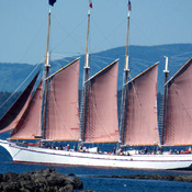 Four Mast Schooner Under Sail Cross Stitch Pattern