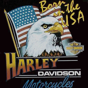 CRAFTS BORN IN THE USA Motorcycle Cross Stitch Pattern***LOOK***Buyers Can Download Your Pattern As Soon As They Complete The Purchase