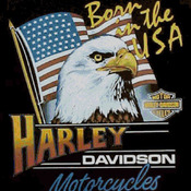 CRAFTS BORN IN THE USA Motorcycle Cross Stitch Pattern***LOOK***Buyers Can Download Your Pattern As Soon As They Complete The Purchase