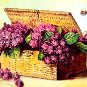 French Ruffled Violets Cross Stitch Pattern