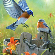 BIRDS Lillys & Blue Birds Cross Stitch Pattern***LOOK***Buyers Can Download Your Pattern As Soon As They Complete The Purchase