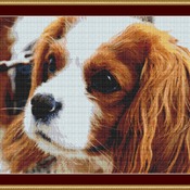 A Sweet Face Cross Stitch Pattern