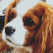 A Sweet Face Cross Stitch Pattern