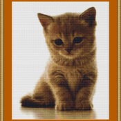 A Sweet Kitten Cross Stitch Pattern