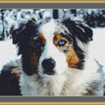 Australian Shepherd Dog Cross Stitch Pattern