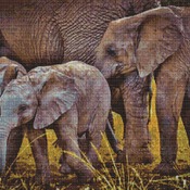 Baby Elephants Cross Stitch Pattern