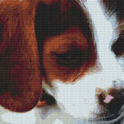 Beagle Puppy Cross Stitch Pattern