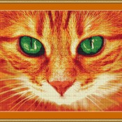 Beautiful Green Eyes Cross Stitch Pattern