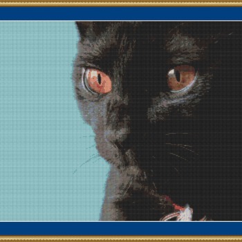 Black Cat Cross Stitch Pattern