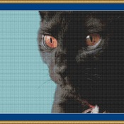 Black Cat Cross Stitch Pattern