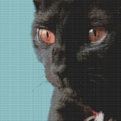 Black Cat Cross Stitch Pattern