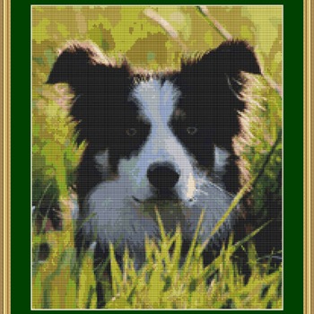 Border Collie Cross Stitch Pattern