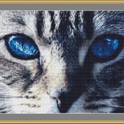 Bright Blue Eyes Cross Stitch Pattern