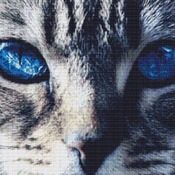 Bright Blue Eyes Cross Stitch Pattern