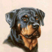 ( CRAFTS ) Rottweiler Dog Cross Stitch Pattern***L@@K***Buyers Can Download Your Pattern As Soon As They Complete The Purchase