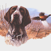 ( CRAFTS ) Field Hunt Dog Cross Stitch Pattern***L@@K***Buyers Can Download Your Pattern As Soon As They Complete The Purchase