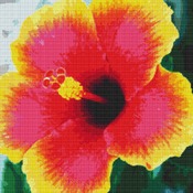 Hibiscus Flower Cross Stitch Pattern