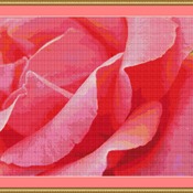 Pretty Pink Rose Petals Cross Stitch Pattern