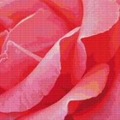 Pretty Pink Rose Petals Cross Stitch Pattern