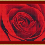 Red Rose Cross Stitch Pattern