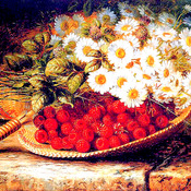 A Summer Still Life Cross Stitch Pattern