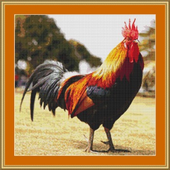 Colourful Rooster Cross Stitch Pattern