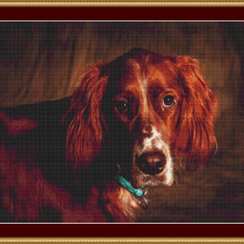 English Setter Cross Stitch Pattern