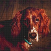 English Setter Cross Stitch Pattern