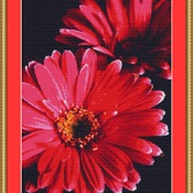 Gerbera Pink Daisy Cross Stitch Pattern