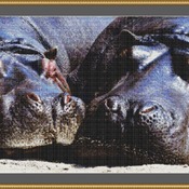 Hippos Cross Stitch Pattern