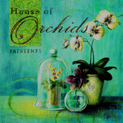 House Of Orchids Cross Stitch Pattern