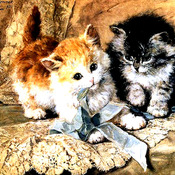 Kittens And Bows Cross Stitch Pattern