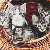 Kittens In a Basket Cross Stitch Pattern