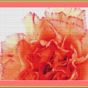 Orange Carnation Cross Stitch Pattern