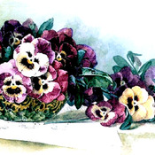 Pansy Waltz Cross Stitch Pattern