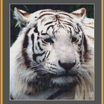 White Tiger Cross Stitch Pattern