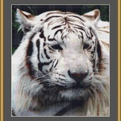 White Tiger Cross Stitch Pattern