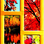 Autumnal Scenes Cross Stitch Pattern