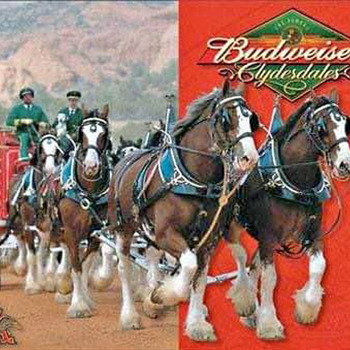 Budweiser Clydesdales Cross Stitch Pattern***L@@K***Buyers Can Download Your Pattern As Soon As They Complete The Purchase