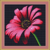 Daisy Pollen Flower Cross Stitch Pattern