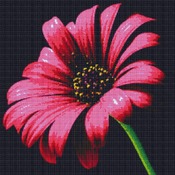 Daisy Pollen Flower Cross Stitch Pattern