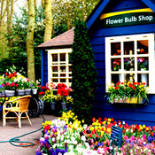 Flower Bulb Shop Cross Stitch Pattern