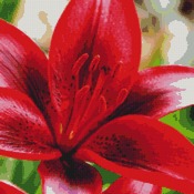 Tiger Lily Blossom Cross Stitch Pattern