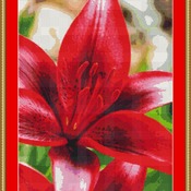 Tiger Lily Blossom Cross Stitch Pattern