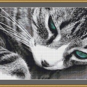 Whiskers Cross Stitch Pattern