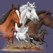 ( CRAFTS ) Wild Horses Cross Stitch Pattern***L@@K***Buyers Can Download Your Pattern As Soon As They Complete The Purchase
