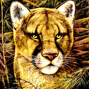 Elusive Encounter Cross Stitch Pattern