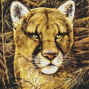 Elusive Encounter Cross Stitch Pattern