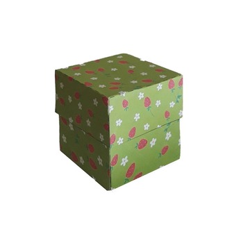 Strawberry Fields Gift Box Template PDF Instant Download
