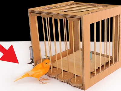How to Make a Bird Trap from Cardboard (DIY Projects!)